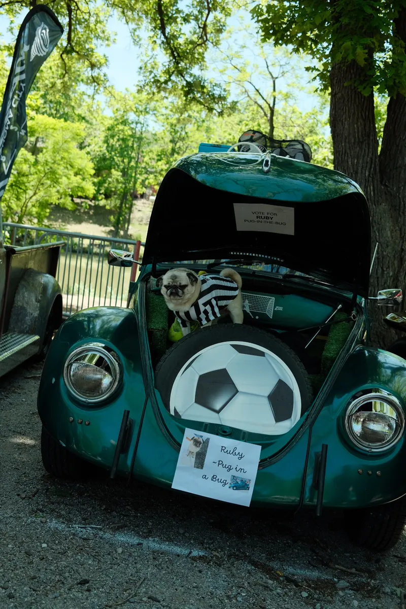 Glovebox Gallery Photograph